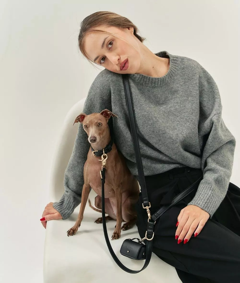 Laisse multiposition mains libres, collier et porte sac à déjections cuir végan noir - Kit accessoires chien premium - CasualPets