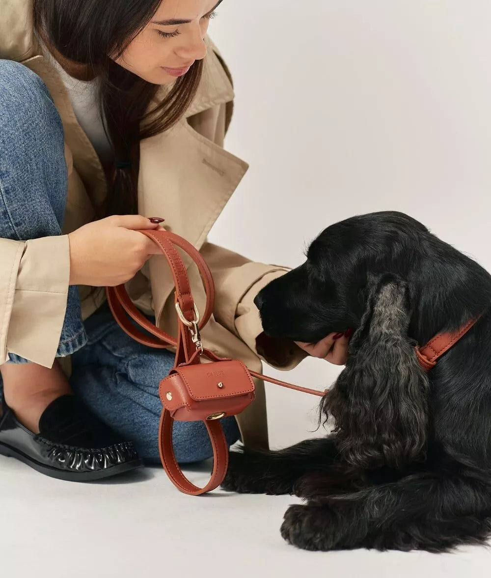 Laisse, collier et porte sac à déjections cuir végan marron cognac - Kit accessoires chien premium 3 en 1 - CasualPets