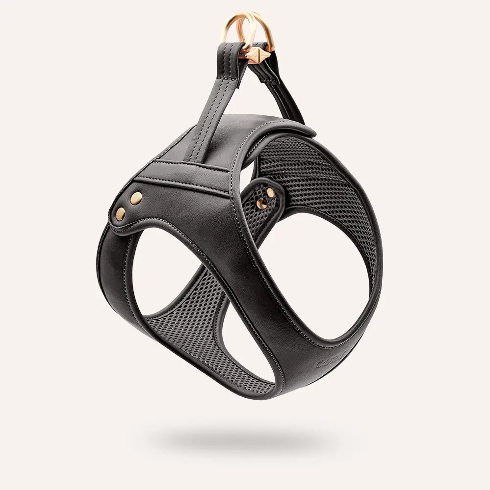 Harnais cuir végan noir mesh respirant poignée contrôle - Accessoire chien confortable premium - CasualPets