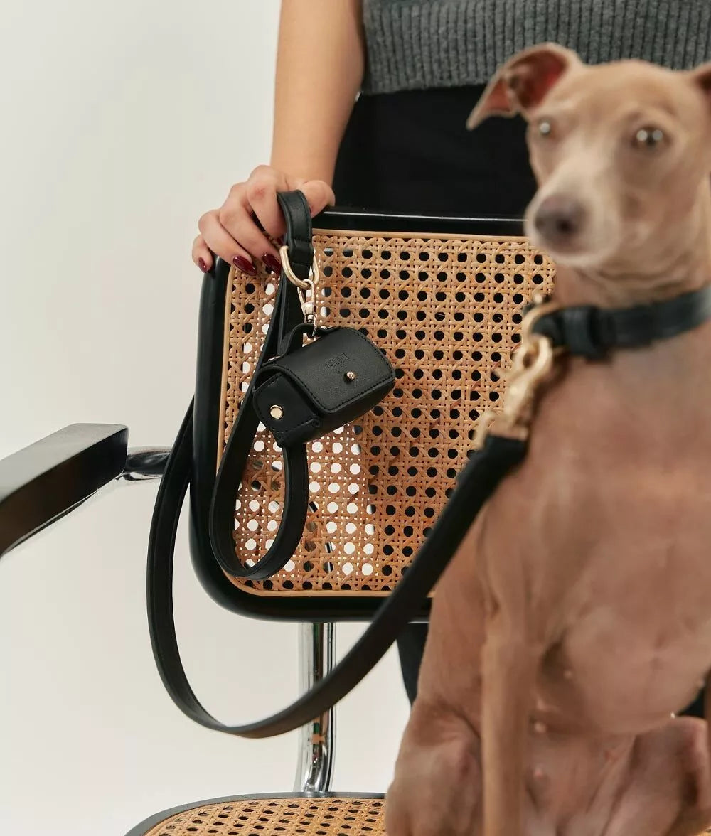 Laisse chien premium cuir végan noir avec collier vegan noir et porte sac amovible
