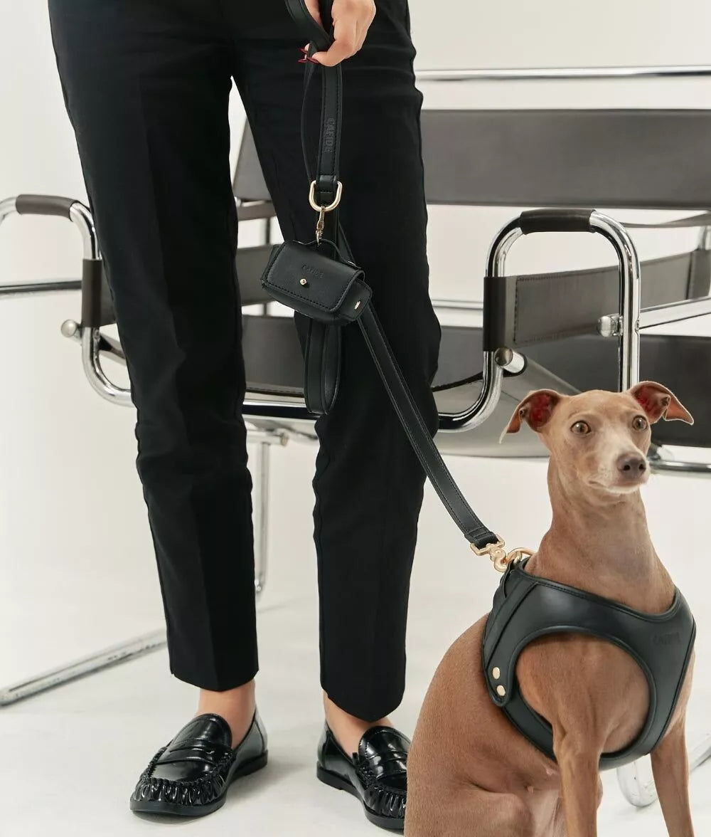 Set complet promenade chien : harnais noir en Y, laisse noire avec porte sacs - Accessoires élégants