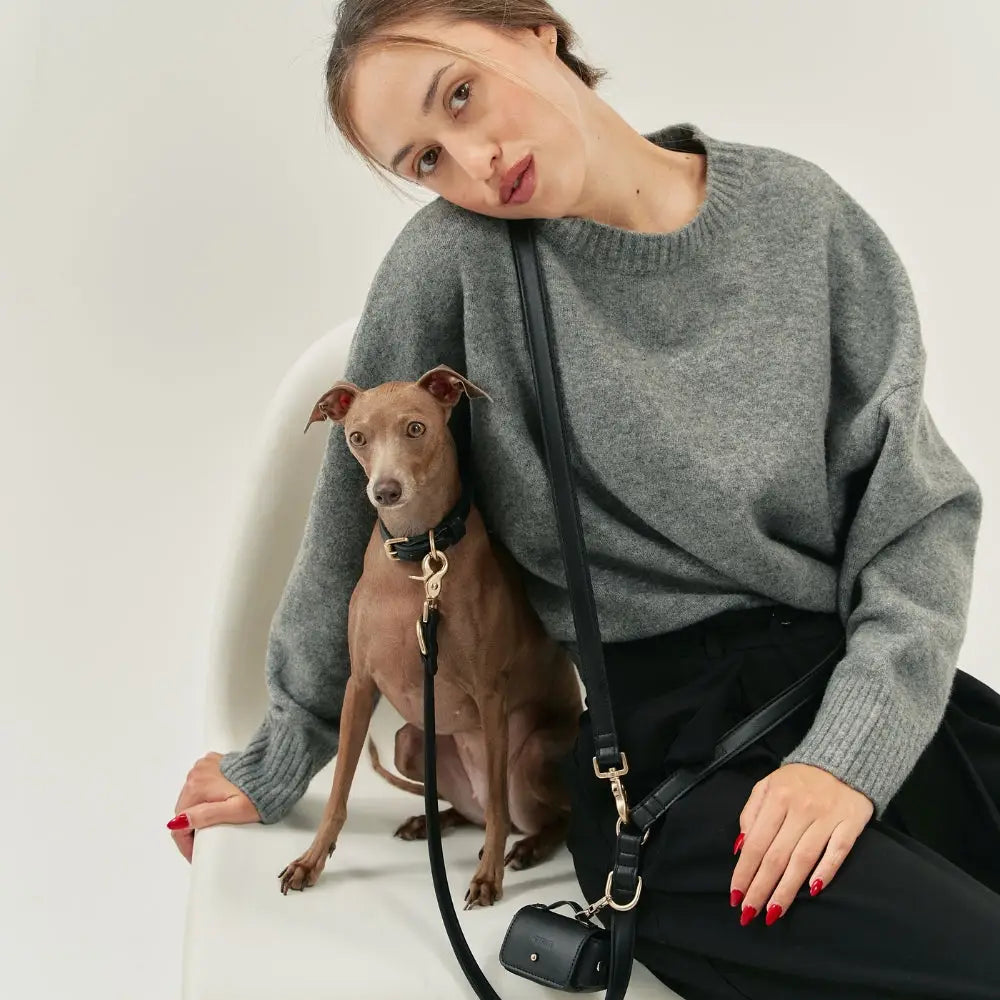 Ensemble laisse mains libres collier porte sac cuir végan noir - Kit accessoires chien élégant - CasualPets